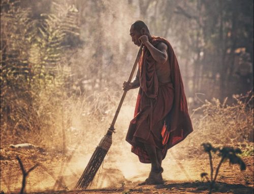 Практики осознанности: медитация сатипаттхана